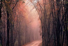 著名运动员给粉丝们惊喜 比赛频推