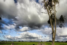 多特蒙德考察法甲球员，拟引进增强实力