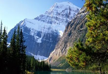 多特蒙德考察法甲球员，拟引进增强实力