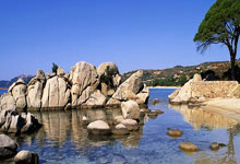 著名运动员给粉丝们惊喜 比赛频推