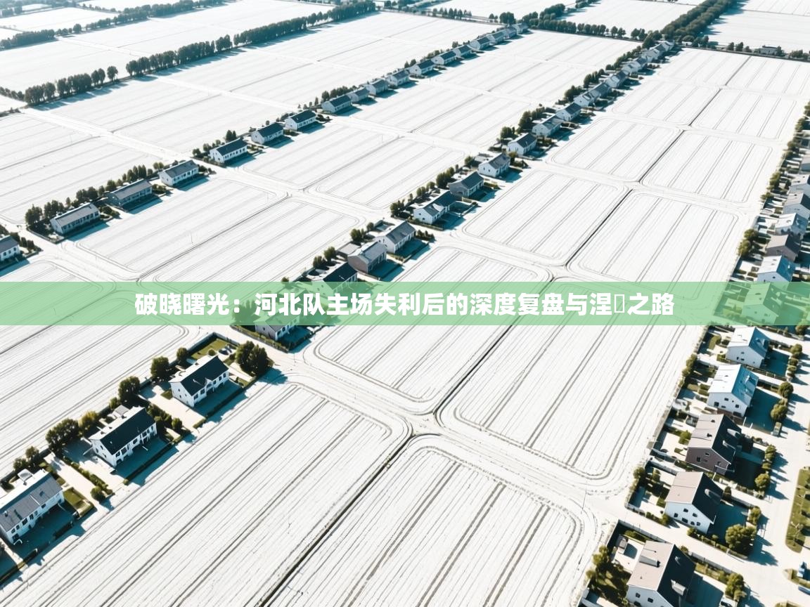 破晓曙光:河北队主场失利后的深度复盘与涅槃之路 第1张