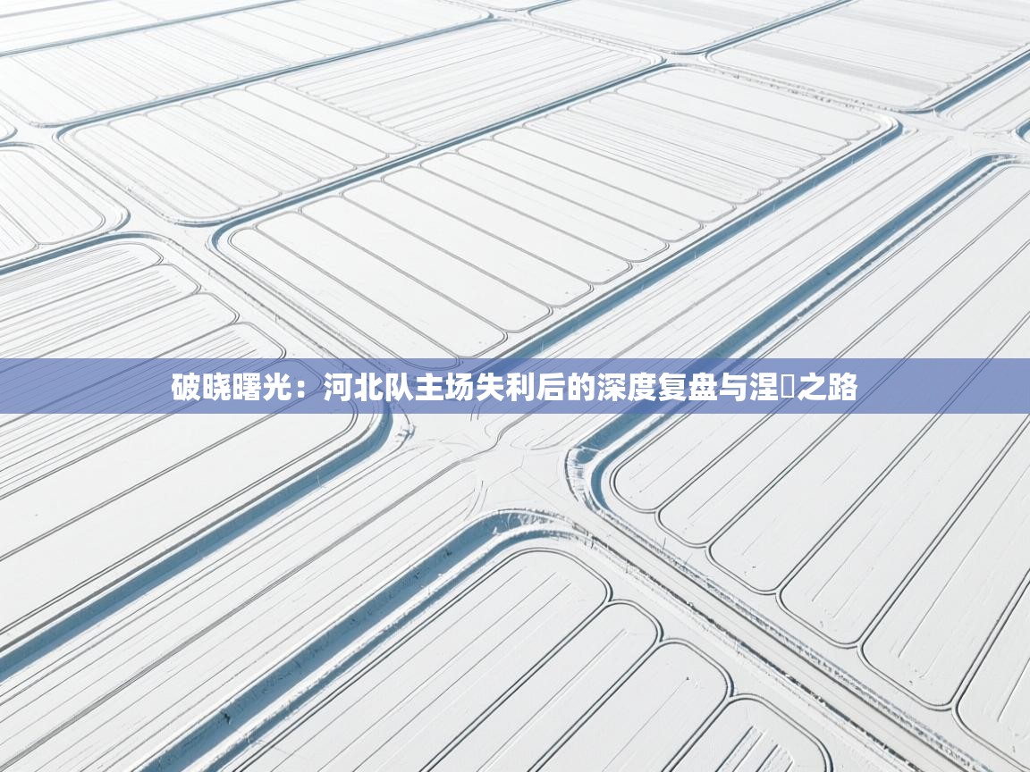 破晓曙光:河北队主场失利后的深度复盘与涅槃之路 第2张